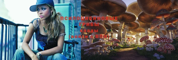 мет Верхний Тагил