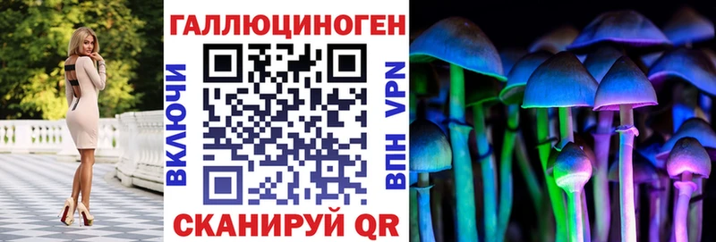 Купить закладки  Вихоревка  Псилоцибиновые грибы Psilocybine cubensis 